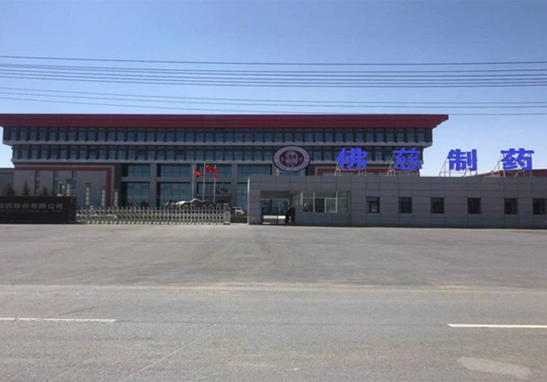 兰州新区佛慈制药科技工业园一期项目